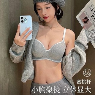 B001-加厚女集中爆乳小胸顯大秋冬無痕無鋼圈軟支撐防下垂收副乳字母胸罩