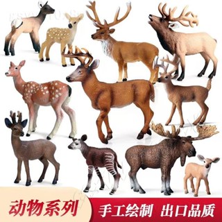 👑特惠👑 動物玩具套裝模擬野生模型白尾鹿梅花鹿麋鹿兒童玩具擺件塑膠實心ll812