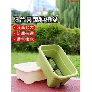 高階花盆 菜盆 霍倫盆 陽臺種菜盆家庭蔬菜專用箱室內長條塑膠花盆家用大號種植花箱戶外