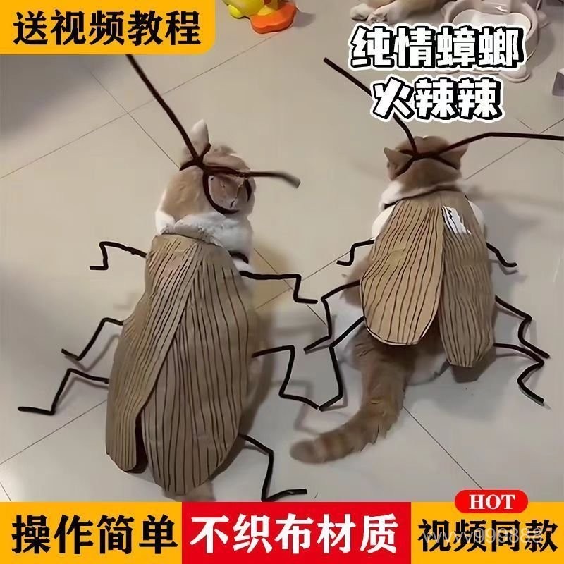 貓咪蟑螂服 貓咪衣服 寵物蟑螂服貓貓衣服搞怪小強的誘惑裝扮道具手工DIY 貓咪衣服材料包 網紅萌寵衣 貓咪 HO4D