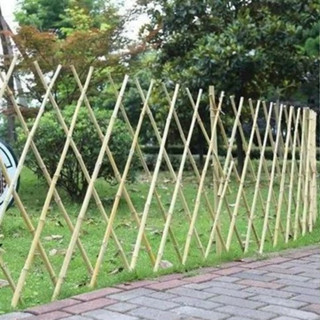 （100根）爬藤菜架竹竿架 圍欄專用竹子 種菜竹竿 菜園搭架竹竿 菜園竿子 支架竹竿 防腐竹竿 防蟲竹竿 種菜架子竹竿