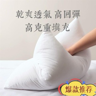 限時特惠 雲巢家紡☁️長纖維不結團 飽滿度升級100% 抱枕芯枕心 7D纖維棉磨毛布抱枕腰枕芯可水洗帶拉鍊 純白枕芯