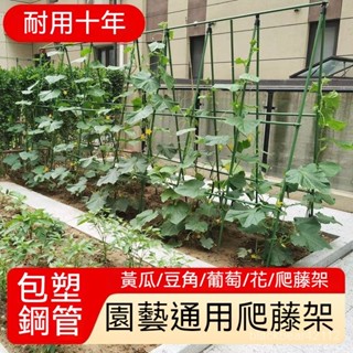 爬藤架 園藝花支架 園藝支架 植物架 種菜架子 包塑鋼管花支架 植物豆角黃瓜架 葡萄架 戶外花架 支撐桿 小拱棚支架