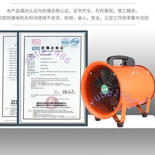 防爆手提式220V移動式排風扇抽風鼓風機隧道噴漆工業通風軸流風機(不含運）