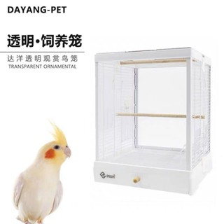 達洋B4001全新係列小型鸚鵡籠玄風虎皮牡丹贈食盆站棍鳥籠