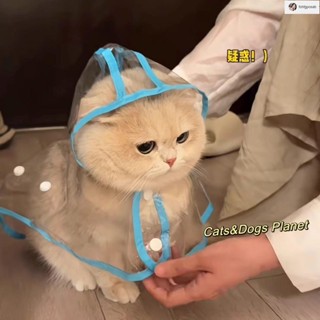 🌸臺灣出貨🌸貓咪衣服 貓衣服 幼貓衣服 寵物衣服 寵物貓咪狗狗雨衣戶外防水全包雨小披風遛彎防水服透明鬥篷帶帽子