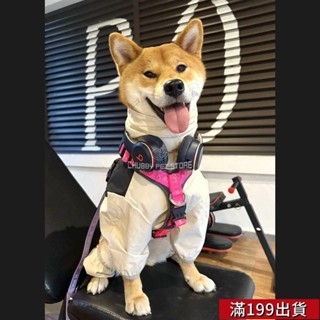 0529 春秋四季防水防風防塵拉布拉多毛邊牧四腳沖鋒衣雨衣狗狗衣服
