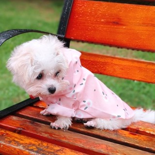 狗狗雨衣 寵物雨衣 可愛雨衣 小狗雨衣 狗狗雨衣泰迪柴犬柯基專用小型犬專用中型犬透明雨披寵物衣服防水