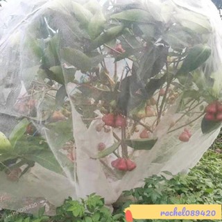 💯臺灣出貨/免運🚚植物防蟲網罩 果樹防蟲放白粉蝨防鳥防曬網套 蔬菜防果蠅套袋網 紗網 TTZL