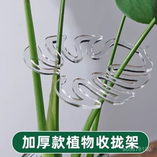 全店免運🎁龜背竹支撐桿花支撐架枝幹收攏架植物防倒伏支架綠植固定神器花架 植物莖支架 植物支架 龜背芋架 花莖架 龜背竹架