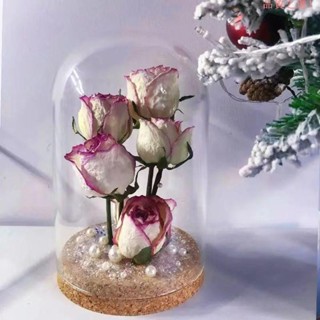 乾花仿真花乾花永生花玻璃罩手工diy帶燈發光浪漫情侶防塵透明罩子家用擺件F32
