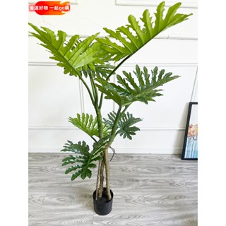 開發票 模擬樹 庭院造景 客廳裝飾 假樹 仿真植物 人造樹 模擬盆栽春芋葉仿真植物落地盆栽帶盆花園景觀裝飾擺設