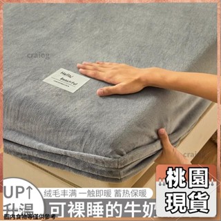 桃園有貨⚡️免運 夏季清涼 不悶熱 高品質挑選 +快速運輸 寒冷天氣加厚珊瑚絨法蘭絨床罩冬季保暖毛絨床單防蟎冬季毛103