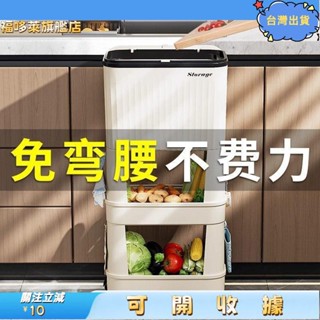 ｒ桃園出貨+免運🎉垃圾桶 廚房垃圾桶 家用大容量帶蓋移動雙層收納垃圾桶 日式多層置物架