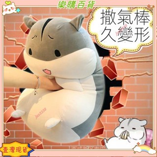 🔥臺灣出貨+發票✨可愛倉鼠毛絨玩具 玩偶 娃娃 抱枕 靠枕 公仔 床上睡覺抱枕 沙發靠枕 送女友生日禮物賣