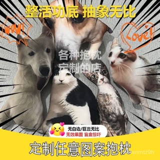 🔥臺灣出貨🔥客製化抱枕 客製寵物抱枕 貓咪抱枕 貓咪玩偶 小狗抱枕 異形抱枕 巨醜玩偶抱枕 惡搞抱枕 惡搞玩偶 XRNX