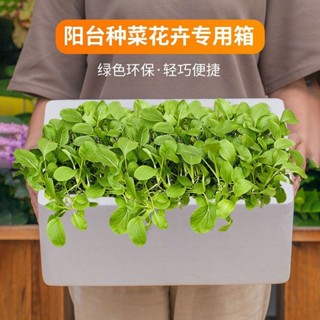 【新品推薦】種菜箱陽臺家庭泡沫種植箱特大樓頂蔬菜長方形花盆跨境