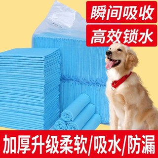 【超實惠】狗狗寵物尿片尿布尿不濕加厚泰迪吸水隔尿墊倉鼠除臭兔子用品