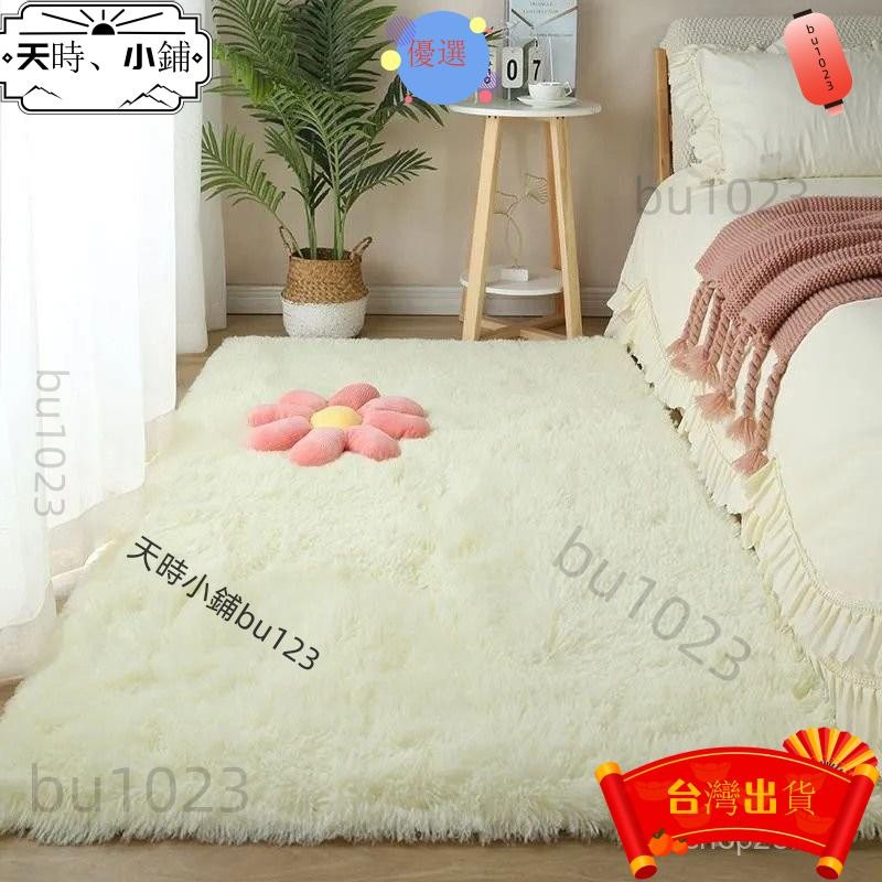 ✨台灣出貨 毛絨地毯 床邊地毯 臥室地毯 飄窗地毯 茶幾地毯 床沿地毯 地毯臥室 仿兔毛地毯 長毛地毯 絨毛地毯543