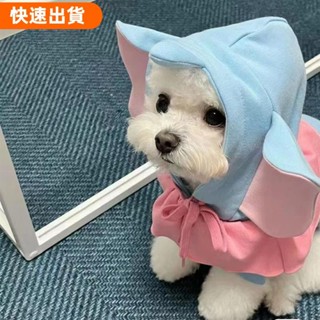 萌寵集 《🔥》寵物大學T小飛象貓咪狗狗春秋薄款泰迪比熊瑪律濟斯可愛衣服寵物服飾