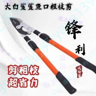 可開發票🖇️原裝進口大白鯊園林粗枝剪樹枝剪果樹剪伸縮大力剪剪粗樹專用剪刀🦋
