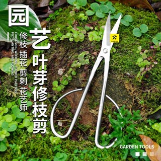 『臺灣出貨｜免運』【店鋪熱銷】全不銹鋼園藝剪葉芽剪嫩芽剪刀插花盆景枝葉剪修枝小枝剪樹枝葉子