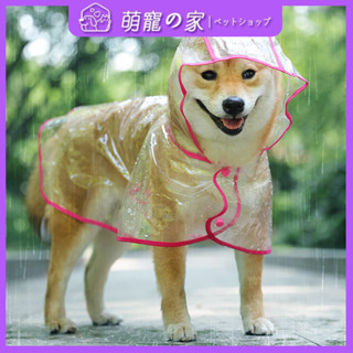 臺灣出貨新款網紅夏季寵物衣服狗狗雨衣泰迪博美中小型犬雨衣貓咪透明雨衣 寵物服飾 寵物用品 IDGX