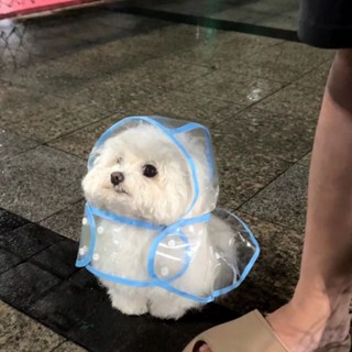 寵物衣服✨狗狗雨衣小型犬金毛中型犬大型犬透明塑膠時尚雨披雨衣防掉毛衣 寵物背心 貓咪衣服 狗狗衣服