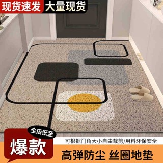 【專業客製化地毯】 北歐簡約絲圈地墊家用玄關進門入戶門口地毯腳墊腳墊易打理可裁剪
