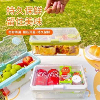 💙臺灣💙手提便攜保鮮盒 露營春遊 大容量野餐 移動小冰箱 食品收納便攜便當盒 長方形便當盒 密封防漏 MK4A