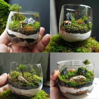 微景觀生態瓶✨成品盆景苔蘚直筒瓶微景觀生態瓶青苔創意植物DIY辦公室桌面減壓小盆栽 綠植 玻璃缸