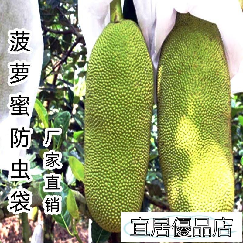宜居優品2 高品質過濾網 菠蘿蜜套袋波羅蜜熱帶水果袋木菠蘿防蟲防寒專用一次性兩頭通套袋