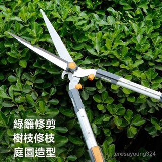 高階品質🎁免運🚚 家用園藝大剪刀 修枝綠化工具 伸縮籬笆五金 果樹林花藝 苗圃省力手工