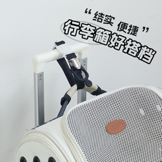 旅行箱包掛扣 拉桿箱外接防丟彩色捆綁帶 行李箱收納便攜揹包掛帶