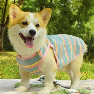 🐢限時購🐢寵物用品 冬季新款 狗衣服 寵物衣服 狗背心 寬鬆 防掉毛 狗雨衣 中型犬 小型犬 中小型 LPSM