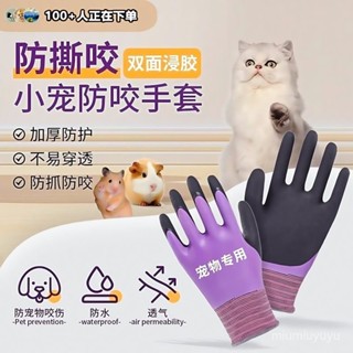 （全臺有貨）小寵物洗澡手套狗狗貓咪洗澡防水倉鼠鸚鵡兔子餵養防抓防咬傷（寵物熱銷品）