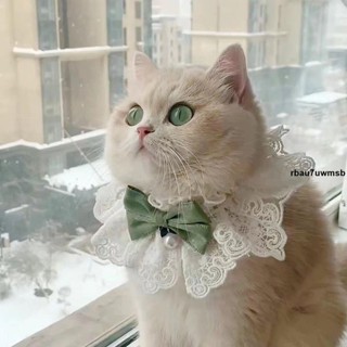 寵物衣服🧶 貓咪圍脖狗狗口水巾貓咪衣服公主風布偶泰迪狗狗衣服狗衣服夏天薄