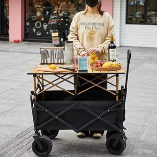 臺灣精品上市 折疊推車 寵物推車 拉桿車 買菜車 露營 野餐陞降露營推車營地拖車戶外可折疊超大野營手拉車野餐車擺攤小推車