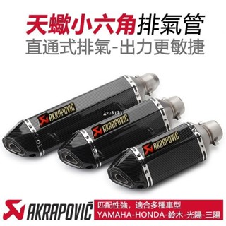 ✨興隆百貨✨⚡出貨 類蠍 仿排氣管改裝 蠍子 直通 小六角 排氣管 r15v3 r3改裝 smax ninja400 改
