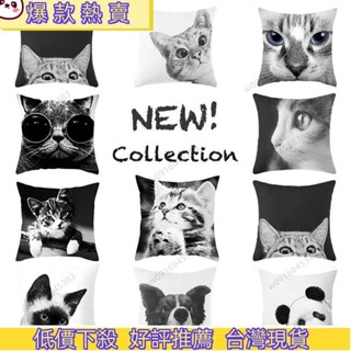 優品特惠🍁 【全新升級/優質絨布】顧居家紡 黑白簡約可愛狗狗 貓咪印花抱枕套 居家沙發靠枕靠墊套 臥室飄窗裝飾抱枕 枕