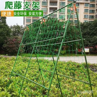 【限時下殺🔥】免運 爬藤架 花架 植物架 支撐架 陽臺 花架 植物支撐架 爬藤支架 瓜棚架 爬藤網架 園藝花架 室外花架