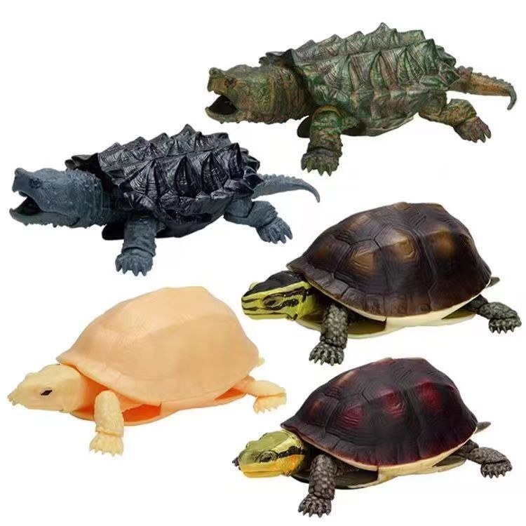臺灣出貨 模型仿真烏龜🦄萬代 仿真生物係列 生物大圖鑑 盒蛋 烏龜陸龜 閉殻龜 鱷龜