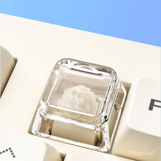 💥臺灣倉庫出貨💥 【可客製】透光鍵帽 透明鍵帽 無刻字元鍵帽 機械鍵盤尺寸通用鍵帽 個性diy 客製化鍵帽 來圖訂製