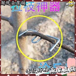 臺灣出貨⭐果樹壓枝神器m型拉枝器樹枝壓彎枝條固定器w型彎枝器果樹別枝器定型器壓枝器多功能傢用盆景固定器別枝器