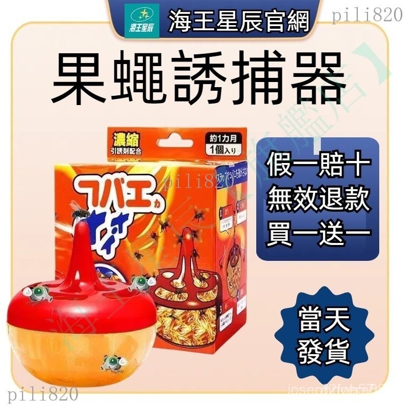 買一送一果蠅餌劑 捕果蠅 日本原裝 保證正版! 絕非水貨 誘黏 誘捕 抓果蠅 果蠅蚤蠅 H9HJ