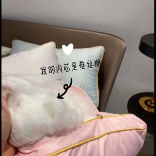 🍑限時下殺價🍑五星級希爾頓飯店枕頭 蠶絲棉枕芯 水洗真絲面料 出口原單 高枕頭 低枕頭 頸枕 防菌抗蟎 超細纖維ｑｑ