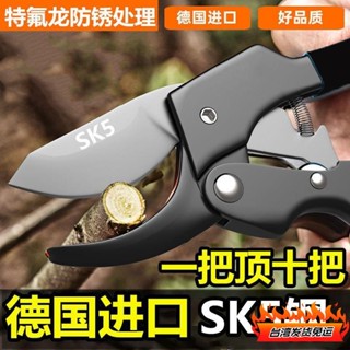 桃園發貨🔥德國進口鋼粗枝剪刀滑輪省力修枝剪園藝修花木果樹嫁接園林剪工具 花剪 滑輪剪刀 多功能園藝剪刀
