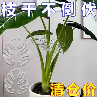 🌿植物養護🌿新款植物支撐桿 DIY植物支架 自由組裝 植物支撐架 盆栽支架 爬藤支架 支撐架植物防倒伏支架綠植固定