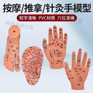 熱賣、手足針灸艾灸刻字穴位足模腳部按摩反射區手膜推拿經絡通足療模型