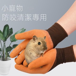 (新品上市)寵物防咬洗澡手套餵食用品安全防護抓玩貓餵鸚鵡兔子橡膠手套寵物除毛手套 按摩手套 安撫手套 洗澡手套 梳毛手套